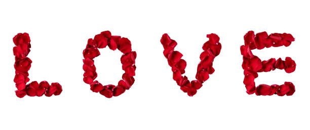 istock Word LOVE made with red roses flower petals isolated on white background. Creative idea for Valentines Day holiday or wedding. 2202504702