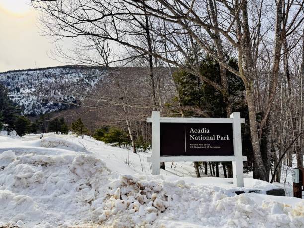 A wooden trail marker is highlighted in a serene winter setting, with a blurred background emphasizing frosted trees and a tranquil atmosphere. The sharp focus contrasts with the softly muted surroundings, providing a feel of navigation and seasonal beauty.