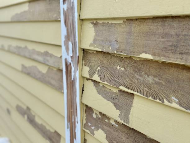 istock Flaking Yellow Paint of Home Siding 2202504910