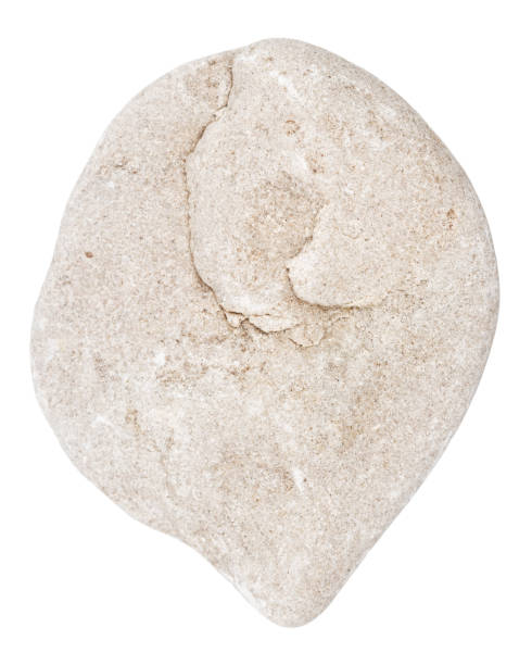 istock Top view of single gray pebble 2202505927