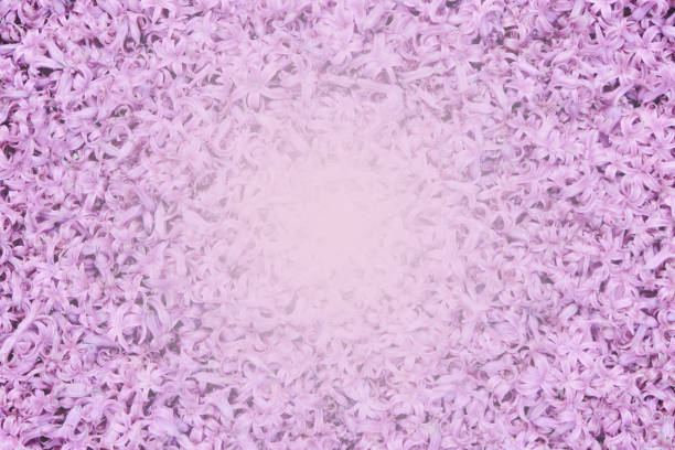 Spring pink abstract background of small flowers.
