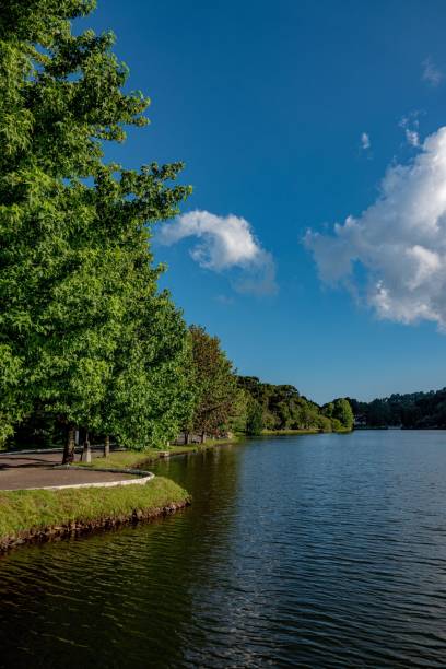 istock Serene view of lake under blue sky 2202508885