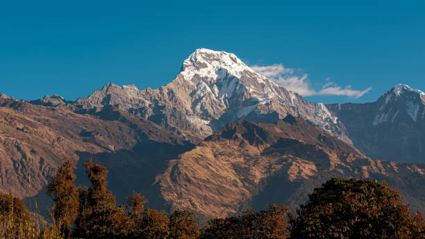 istock Annapurna South majestic peak under morning sunlight with blue sky 2202518687
