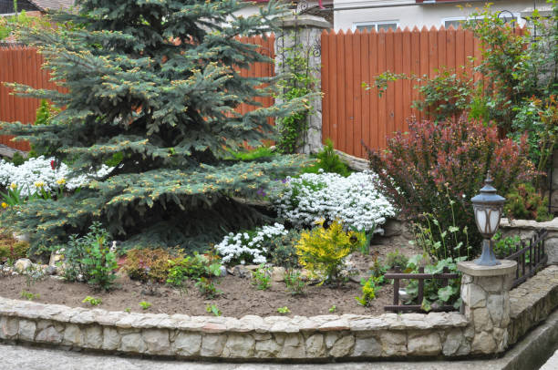 istock Flowerbed in the gardeno 2202518972