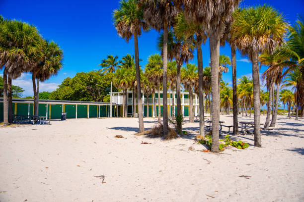 istock Beach park Miami crandon sand 2202520110