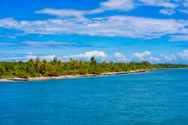 istock Tropical beach looks like Bahamas with clear water 2202520148