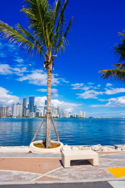 istock Miami key biscayne park overlooking Brickell 2025 2202520169