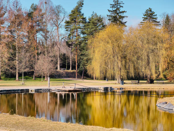 istock Spring landscape with lake and colorful trees in park on sunny day. Springtime. 2202525035