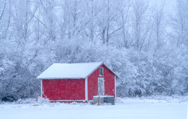 istock Red barn standing in snowy field during winter 2202525135