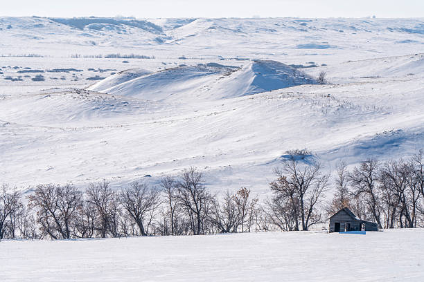 Desolate winter landscape with abandoned barn in the canadian prairies