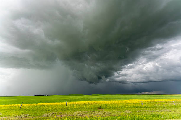 istock Dramatic storm clouds gathering over canola field in saskatchewan, canada 2202526644