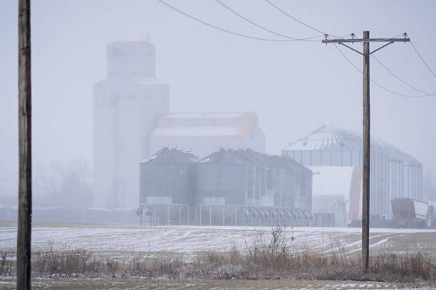 istock Grain elevators and silos disappearing in heavy snow on farm in winter 2202526649