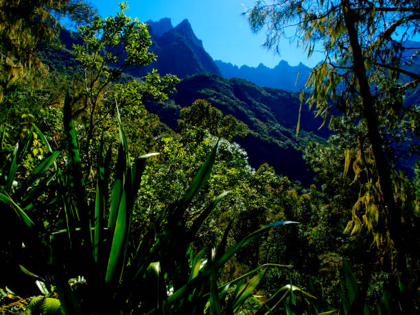 The Piton des Neiges seen from Cilaos
