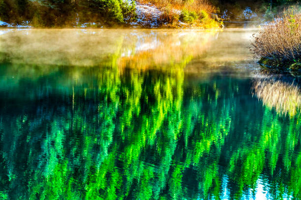 Mist Cloud Trees Snow Reflection Abstract Gold Lake Gold Creek Pond Surface Snoqualme Pass Wenatchee National Forest Wilderness Washington