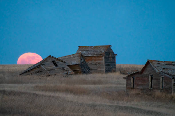 Abandoned farmhouses under pink moonlit sky in saskatchewan, canada stock photo