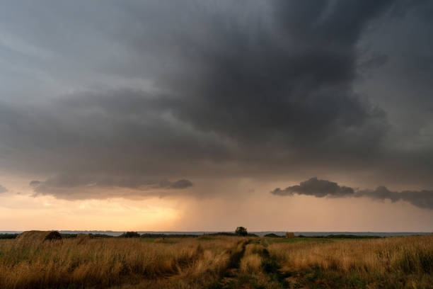 istock Dark storm clouds gathering over a field at sunset 2202528000