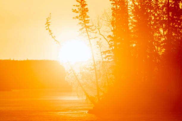 Sunrise over a frozen lake with pine trees on the shore, creating a warm and vibrant scene