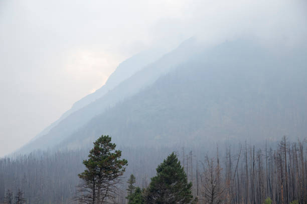 Smoke from wildfires obscures the mountain view in glacier national park, montana, showing the impact of climate change
