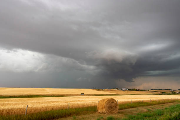Dark storm clouds loom over a harvested wheat field, creating a dramatic contrast