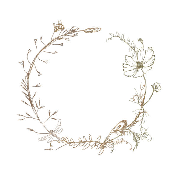 Field, meadow, wild flowers and herbs cosmos and other. Line art is a simple hand-drawn illustration in beige, ochre, brown ink. Circle wreath frame vector EPS