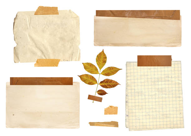 Collection of vintage elements for scrapbooking. Nostalgic set of retro paper, fixed adhesive tape stripes, dry pressed leaf, paper tag. Mockup template. Isolated on white background