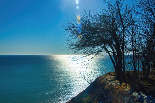 A lonely birch tree on a Volga cliff with a sunset in the background