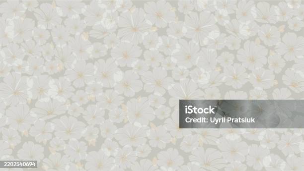 Calm Pattern Spring Decorative Pattern Beautiful Calm Background For Font Composition ...