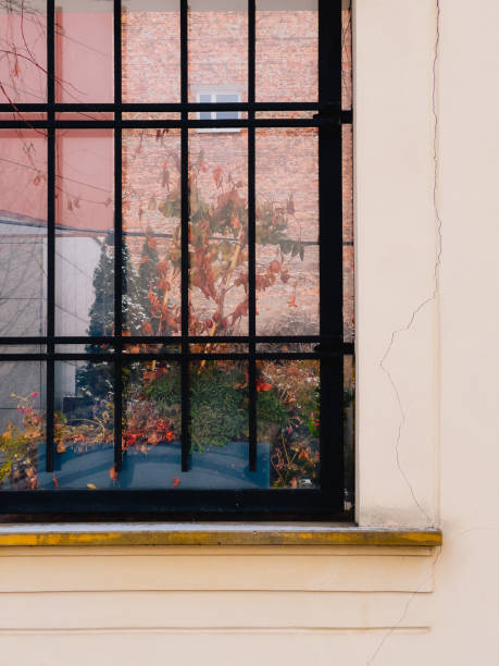 istock Plants Behind Bars. Potted plants thriving behind barred windows, reflecting the textured facade of a brick building, highlight the charm of urban gardening and intricate architectural details 2202546115