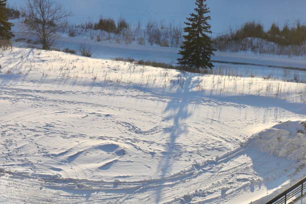 landscape with snowy field and footprints
