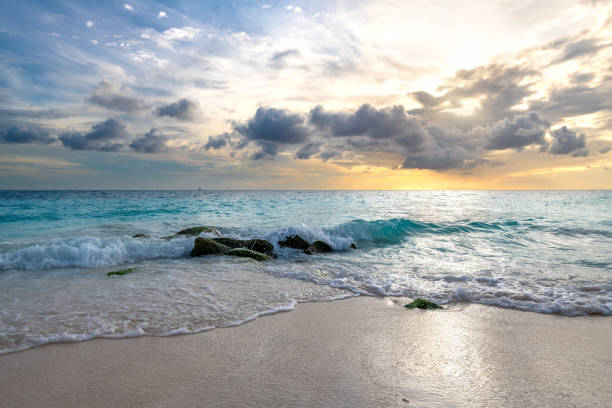 istock Divi Beach in Aruba features soft sands and gentle waves at sunset. Visitors can enjoy serene moments while soaking in the tropical atmosphere and stunning natural beauty. 2202553975