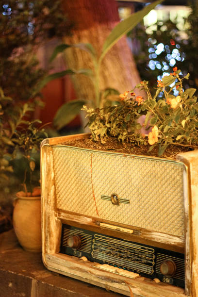 A unique composition featuring a vintage radio repurposed as a planter. The aged casing is coated with a layer of white paint, while flowers and greenery sprout from within. The blurred background lights add a warm, cozy ambiance