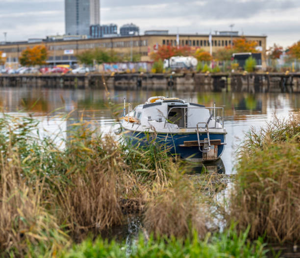 Abandoned sailboat drifted into reeds by a river
