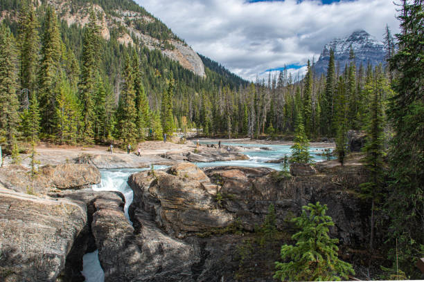istock Wild Waterfall in the Canadian Rockies 2202564784