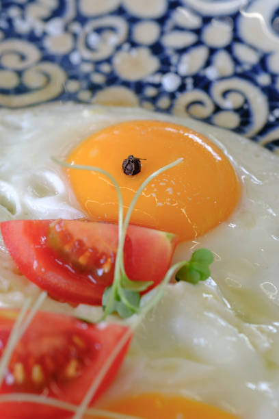 Close-up of a fried egg on a patterned plate, featuring a runny yolk, seasoned with peppercorns, and accompanied by slices of ripe tomato and microgreens.