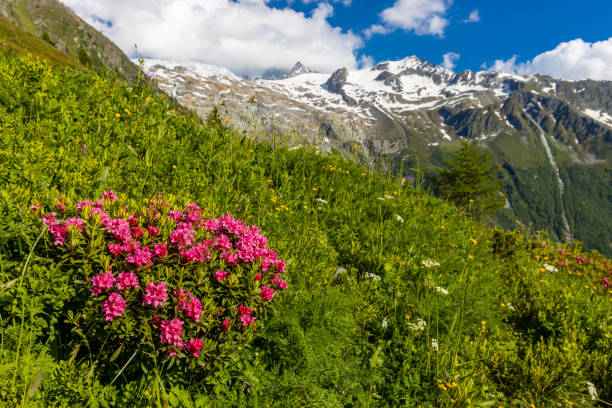 istock Tour du Mont Blanc beautiful alpine scenic mountain 2202570334