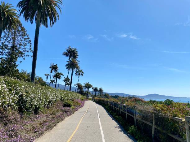 istock Coastal bike path abloom with Palm trees and gardens 2202576795