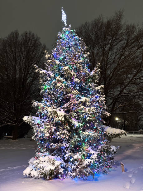 istock Natural Christmas Tree Brightly Lit After Snow Storm 2202581738