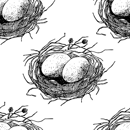 Spring Seamless Pattern With Bird Nest With Eggs Easter Hand Drawn ...