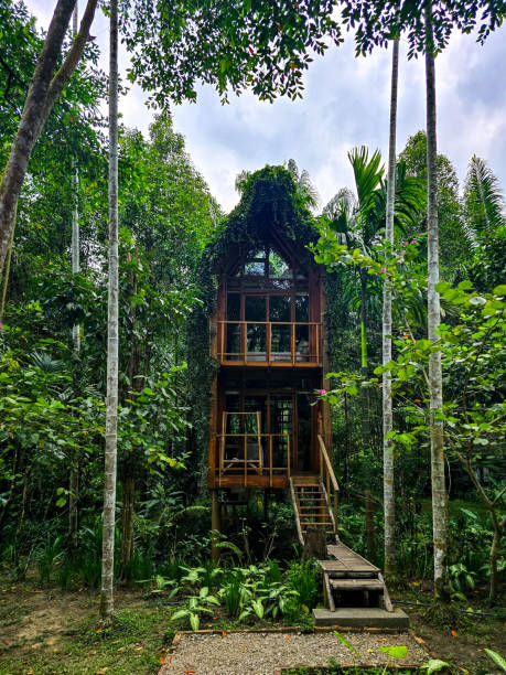 istock Enchanted treehouse nestled among lush tropical greens in a serene Thai jungle setting 2202587880