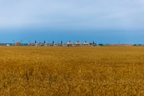 Natural gas processing facility stands behind vast golden wheat fields in Canadian County, Oklahoma. Industrial complex with tanks, pipes, and towers creates sharp contrast against agricultural foreground. Pale blue sky provides serene backdrop for juxtaposition of industry and agriculture.