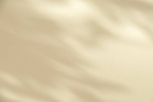 istock Studio style background wall decoration presentation uses white and beige tones. with shadows cast from a nearby window, concept creating a decorative 2202591808