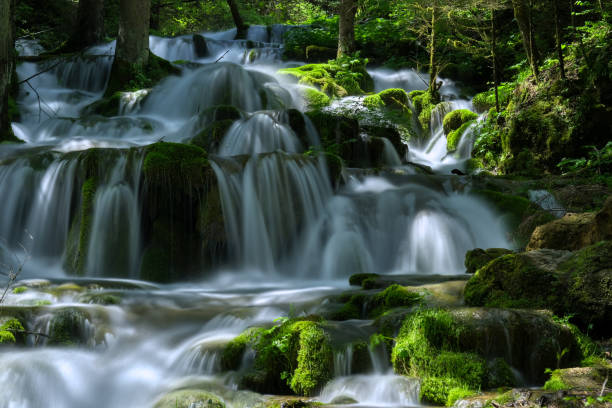istock Cascading Waters: A serene forest waterfall with moss covered rocks in a lush verdant environment 2202591843