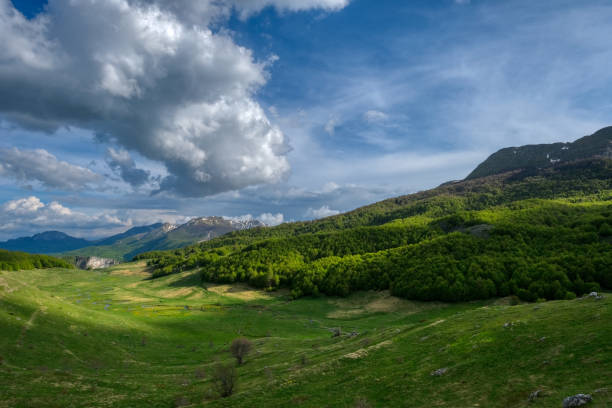 An idyllic landscape showcasing a vibrant green valley, dense forests climbing the hills, and mountains under a bright blue sky filled with clouds.