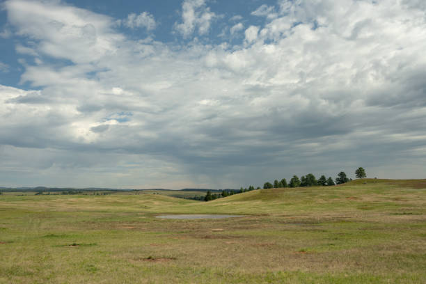 Small Pond Slowly Evaporates On The Prarie Above Wind Cave National Park