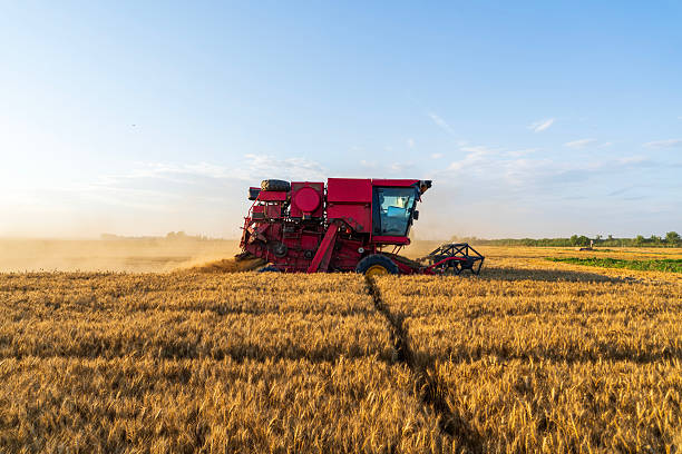 istock combine harvester working on a wheat field 2202593251