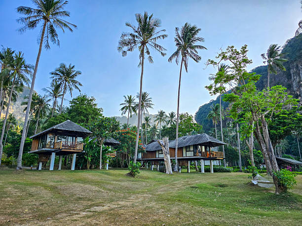istock Discovering hidden bungalows amidst swaying palms in Krabi Thailand 2202596626