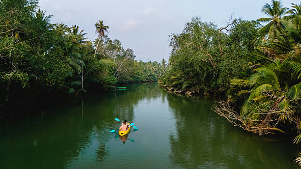 istock Kayaking through lush mangroves in Chumphon Thailands tranquil waters 2202597771