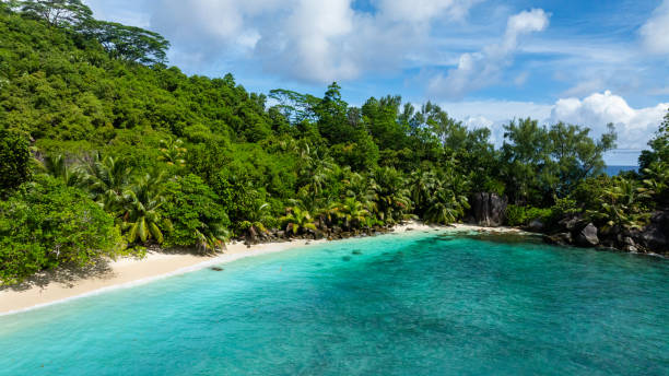 istock Tropical beach with palm trees and turquoise lagoon. Seychelles, Mahe. 2202599491