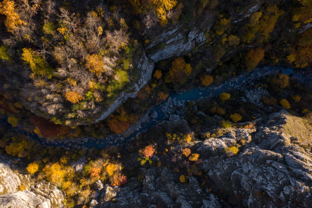 istock Autumn canyon landscape with a river flowing between cliffs and trees with colorful leaves Aerial view 2202599518