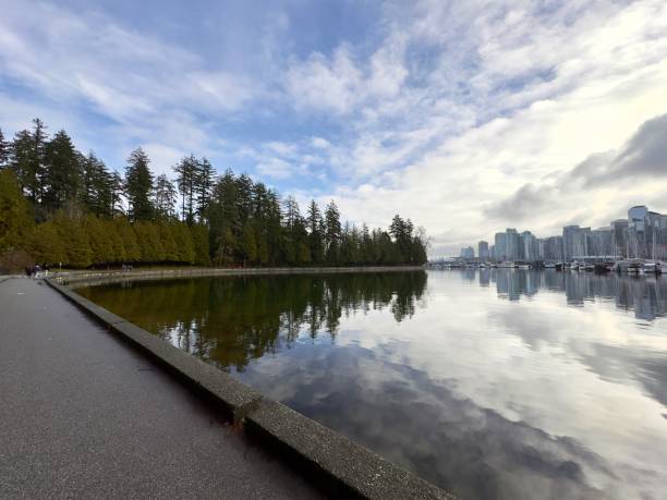 istock park area along the bay with green trees 2202599899
